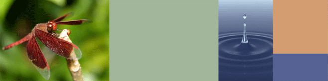 Header Images
